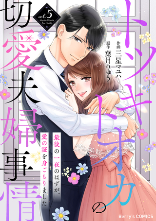 トツキトオカの切愛夫婦事情～最後の一夜のはずが、愛の証を身ごもりました～